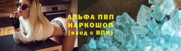 крисы Алексин