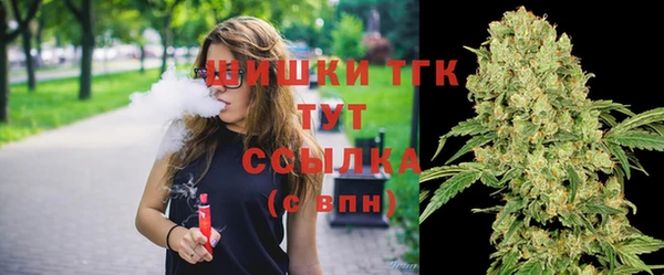 амф Ельня