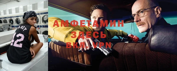крисы Алексин
