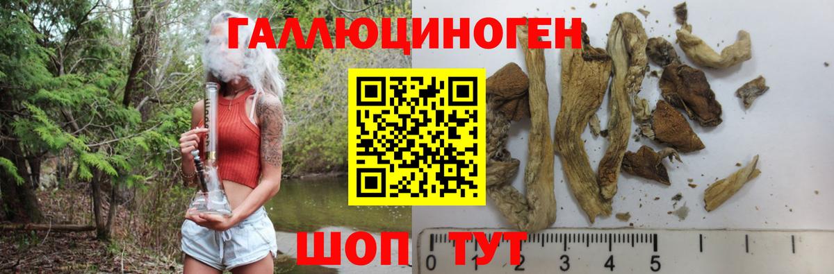 Галлюциногенные грибы Psilocybine cubensis  Вход с VPN  Рубцовск 