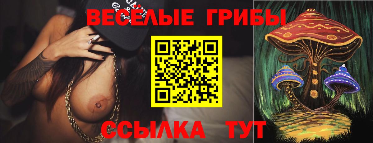 Псилоцибиновые грибы Psilocybe Рубцовск
